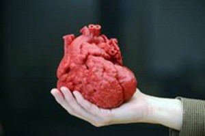 Con un cuore stampato in 3D salvato un bimbo di 14 mesi