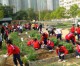 La scuola più green del mondo è a Hong Kong