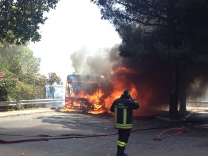 1085053_10201066283993804_1642756063_o