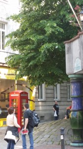 trincerone con albero