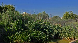 10547905_10204685287922306_5963691814304606415_o