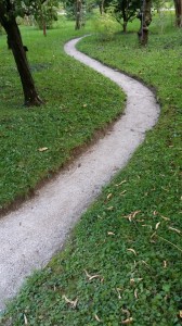 c_e 1 strada nel bosco