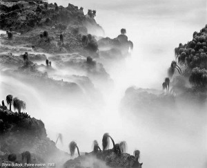 831.624.2801 c. 1960