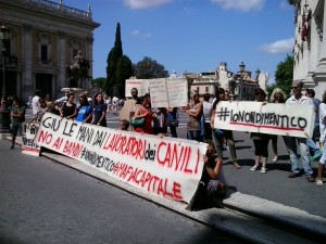 Sit in Campidoglio