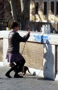 d5e9b729728239-5602be74b0736