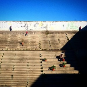 albergo-delle-piante1